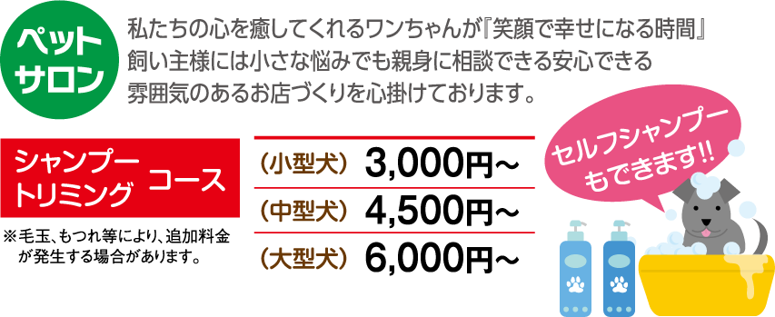 私たちの心を癒してくれるワンちゃんが「笑顔で幸せになる時間」飼い主様には小さな悩みでも親身に相談できる安心できる雰囲気のあるお店づくりを心掛けております。